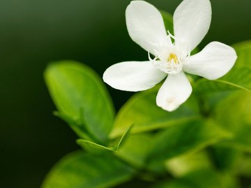 小清新 清新淡雅