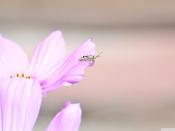 小清新 清新淡雅