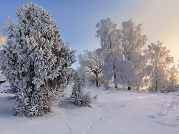 风景 旅游 瑞典 雪景