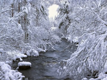 风景 旅游 瑞典 雪景