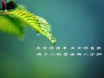 爱情 爱语 温馨 感动