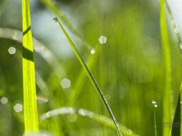 小清新 植物 清爽 儿童桌面专用 护眼壁纸