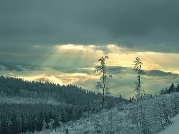 风景 冰天雪地