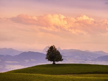 风景 落日 夕阳 晚霞