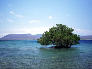 风景 海洋天堂