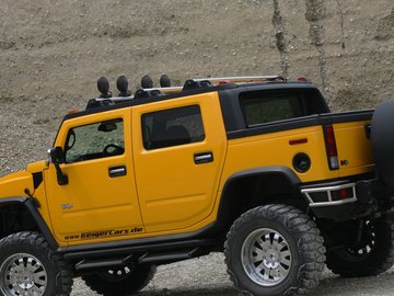 Hummer