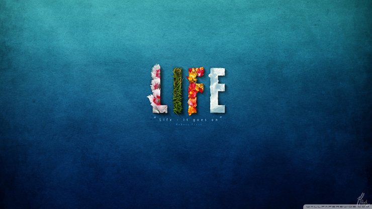 创意 设计 字母 LIFE