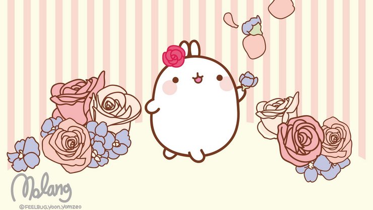 动漫 molang 手绘 可爱