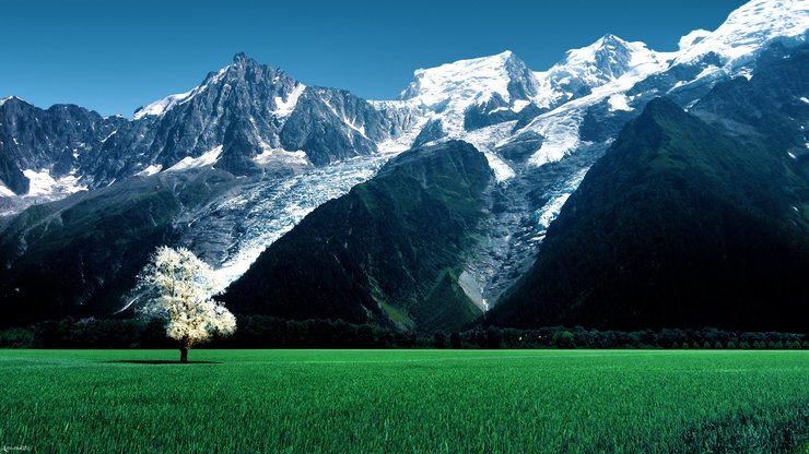 风景 草原 山脉