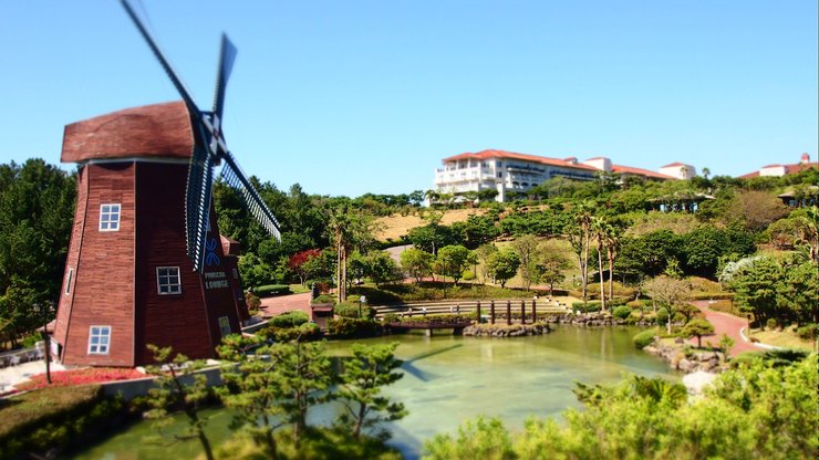 风景 旅游胜地 济州岛