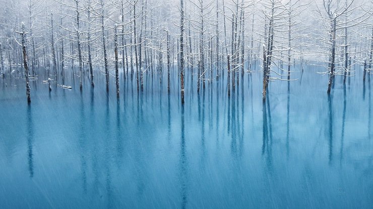 风景 湖泊