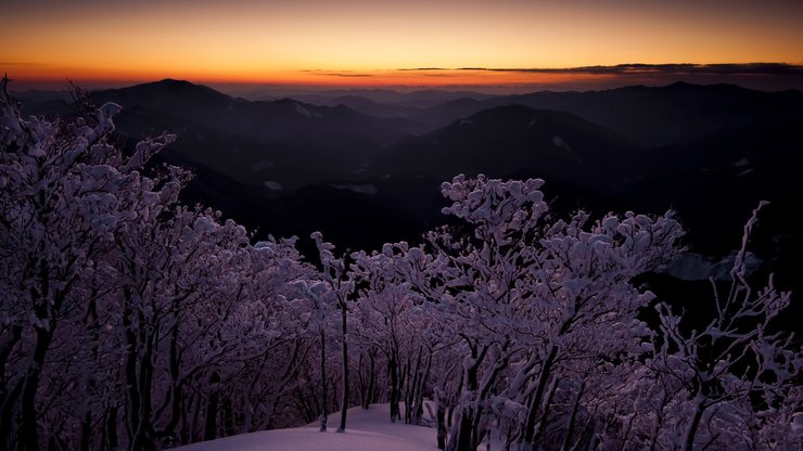 风景 雪景