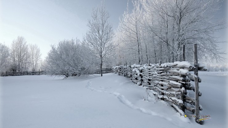 风景 雪景