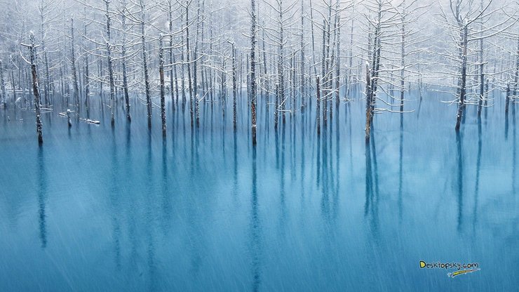 风景 雪景