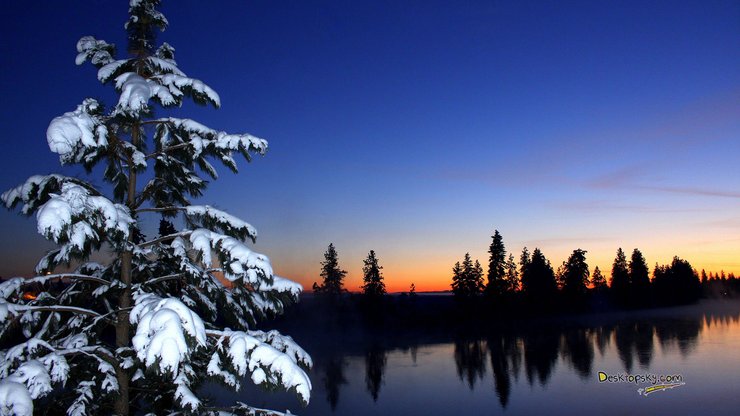 风景 雪景 树林