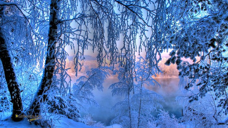 风景 雪景