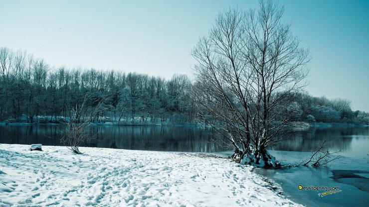 风景 雪景 河流 树林