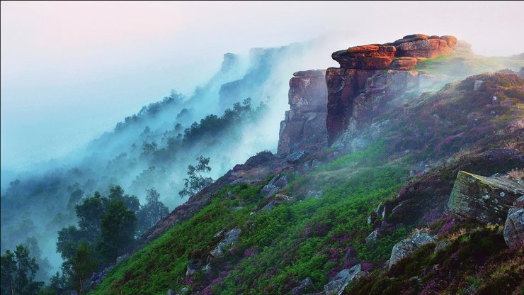 风景 自然 雾