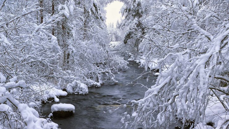 风景 雪景 河流 树林