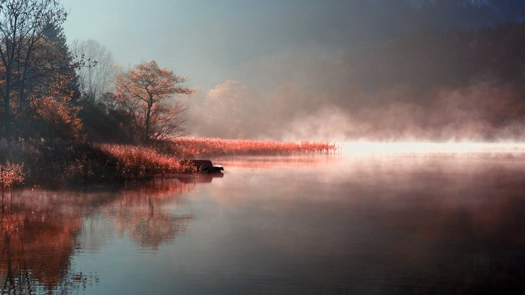 风景 风光 景观 秋意正浓