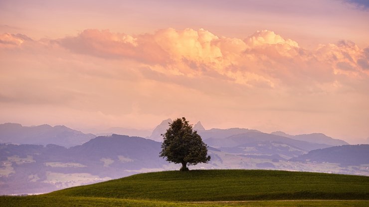 风景 落日 夕阳 晚霞