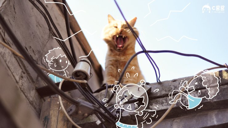 安卓手机萌宠 猫 喵星人 C酱酱高清壁纸
