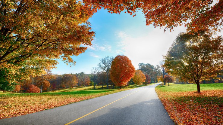 安卓手机风景 公路 秋天高清壁纸