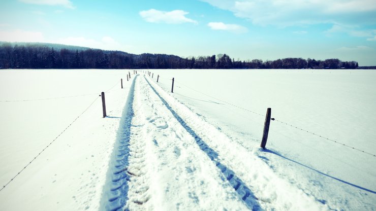 安卓手机风景 雪景 小路高清壁纸