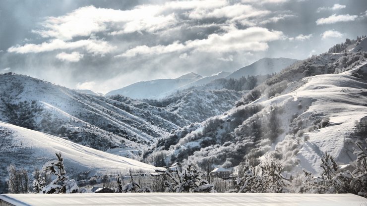 安卓风景 雪 自然风光 冬季 冬天手机壁纸