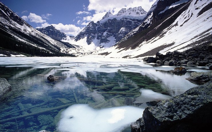 安卓手机冬天 雪景 风景 风光 美景 旅游 自然高清壁纸
