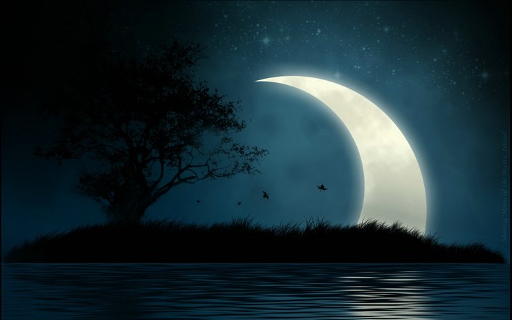 安卓手机设计 创意 夜景 月亮 星空高清壁纸