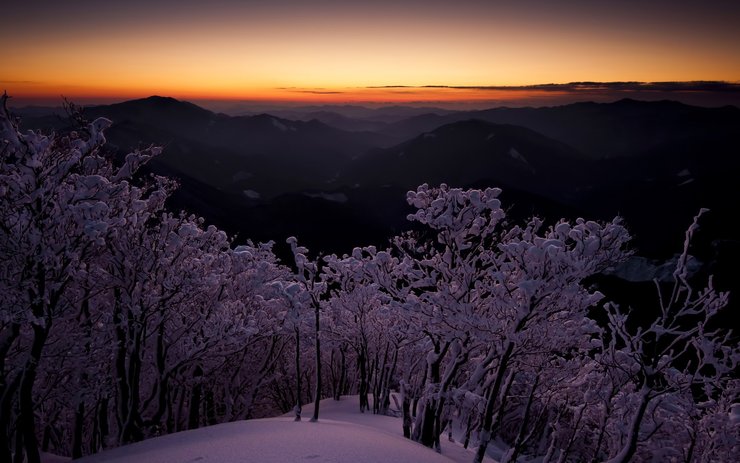 安卓手机风景 雪景高清壁纸