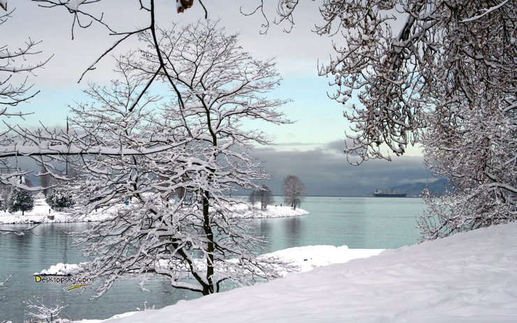 安卓手机风景 雪景 河流高清壁纸