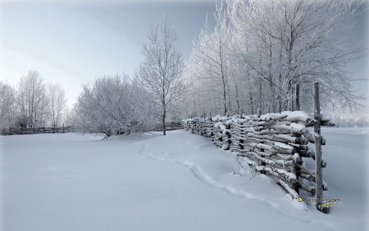 安卓手机风景 雪景高清壁纸