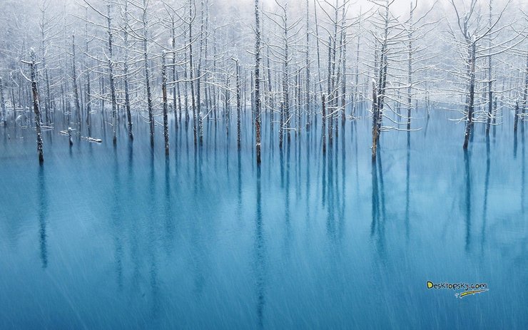 安卓手机风景 雪景高清壁纸