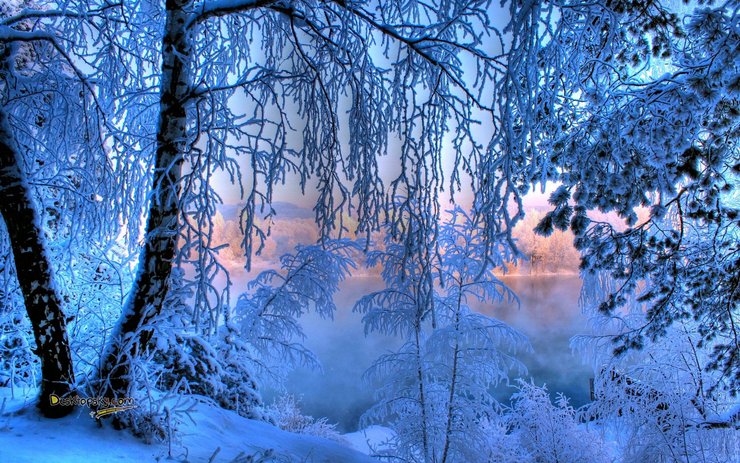 安卓手机风景 雪景高清壁纸