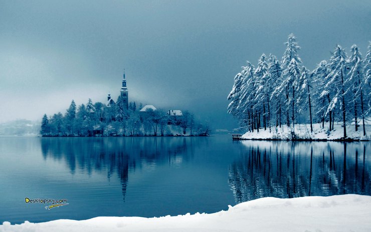 安卓手机风景 雪景 树林高清壁纸