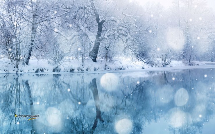 安卓手机风景 雪景 树林 河流高清壁纸