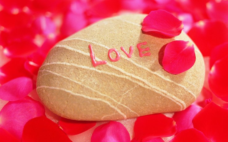 安卓手机爱情美图 唯美温馨 玫瑰 点心 love 爱你高清壁纸