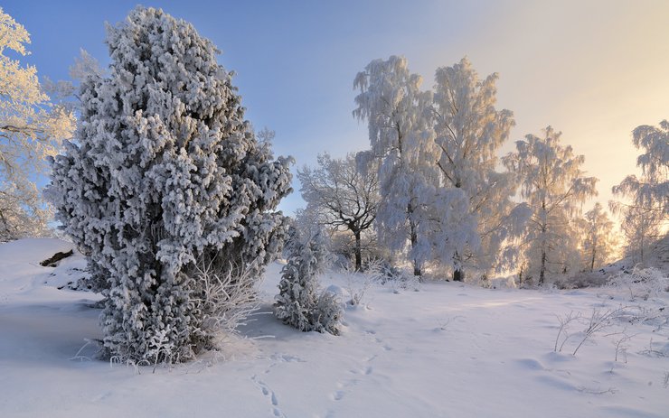 安卓手机风景 旅游 瑞典 雪景高清壁纸