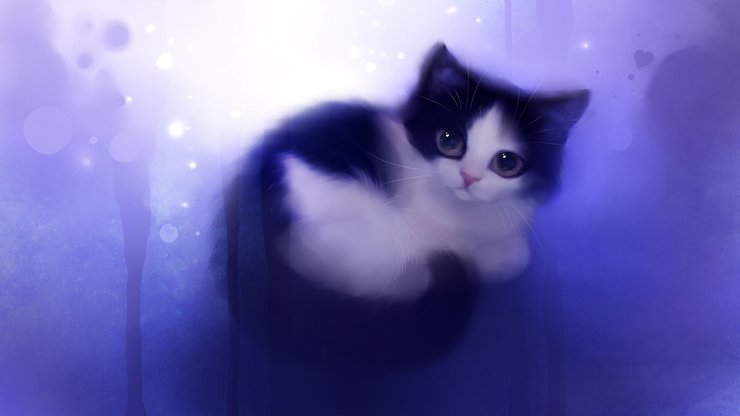 安卓手机萌宠 动物 可爱 萌物 宠物 喵星人 猫 儿童桌面专用高清壁纸