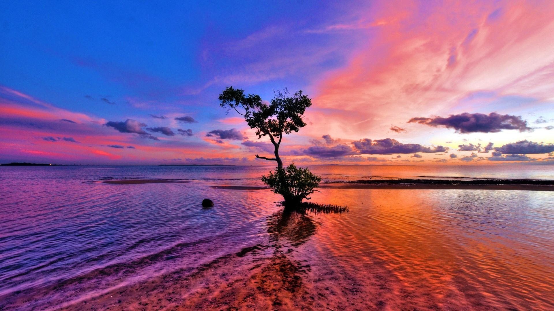 android安卓风景 风光 美景 旅游 自然高清手机壁纸