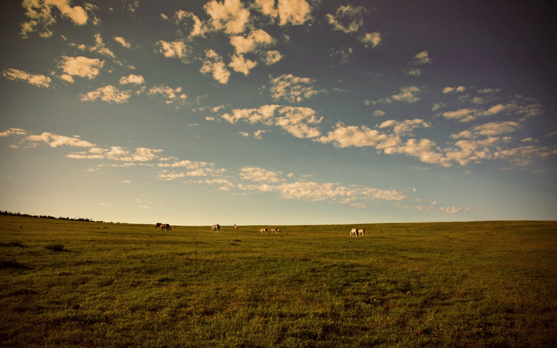 风景,自然风光,2012Y十月30D,儿童桌面专用,风景大片