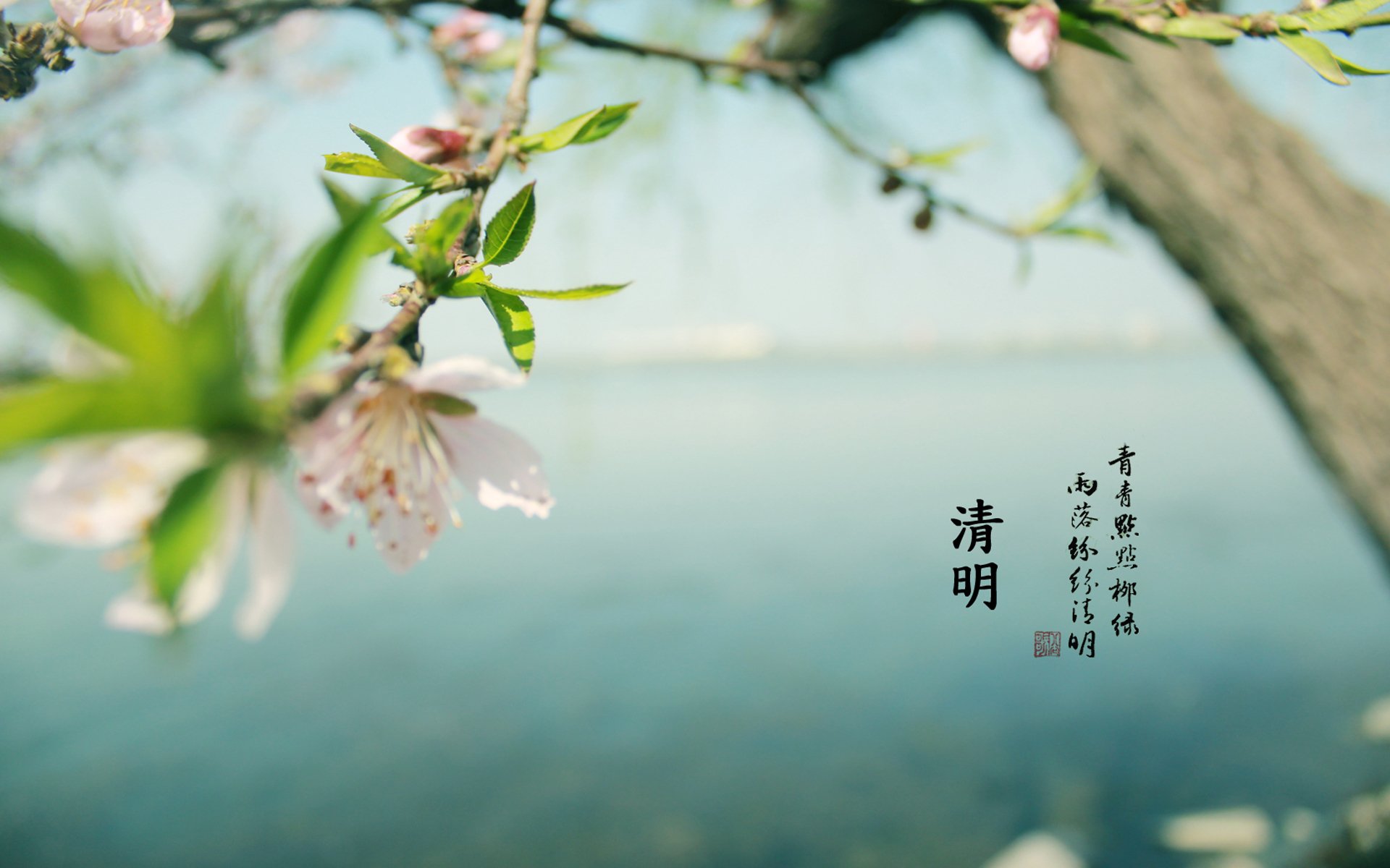 清明节,节日美图