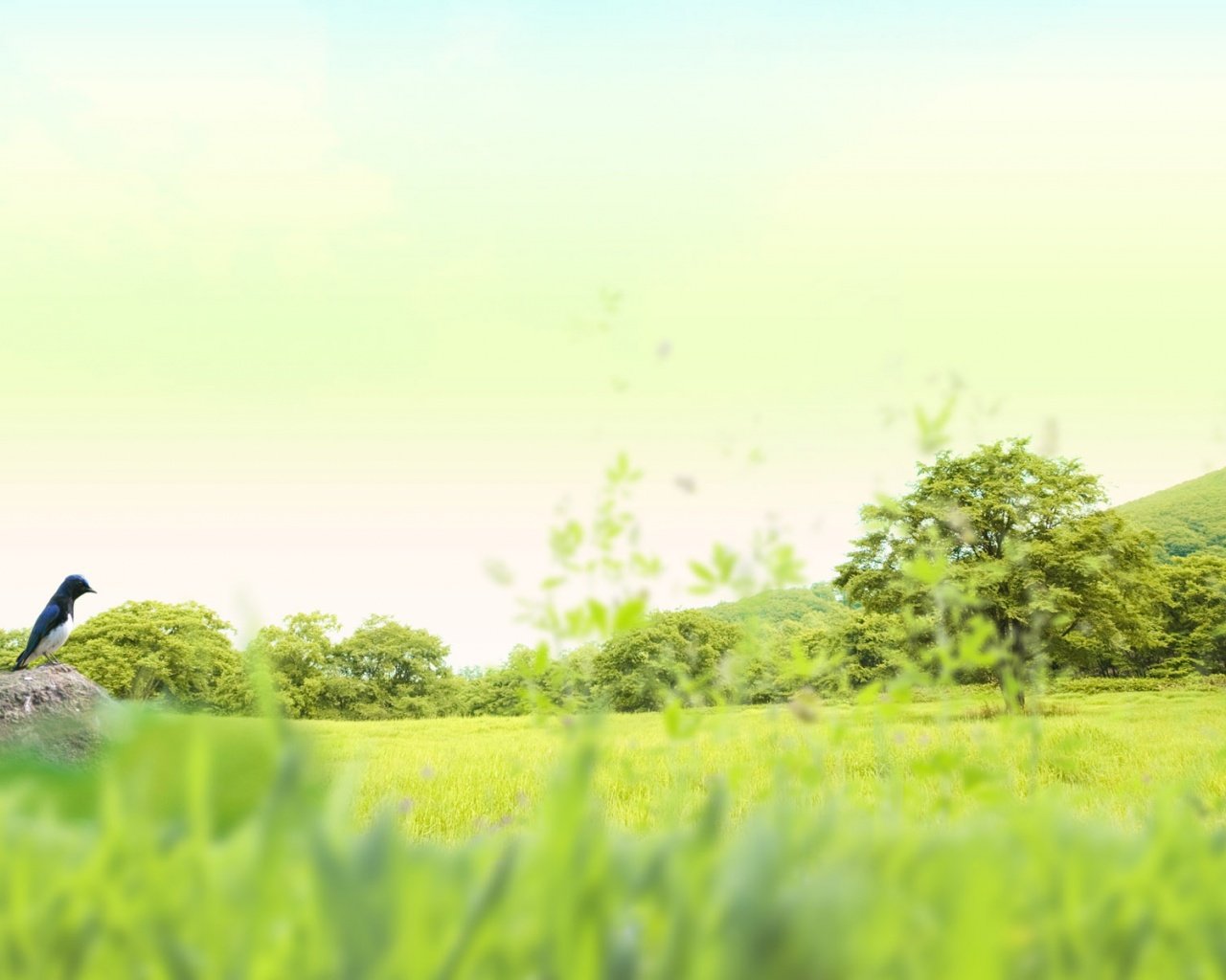 t01f167b124ae5747de.jpg
