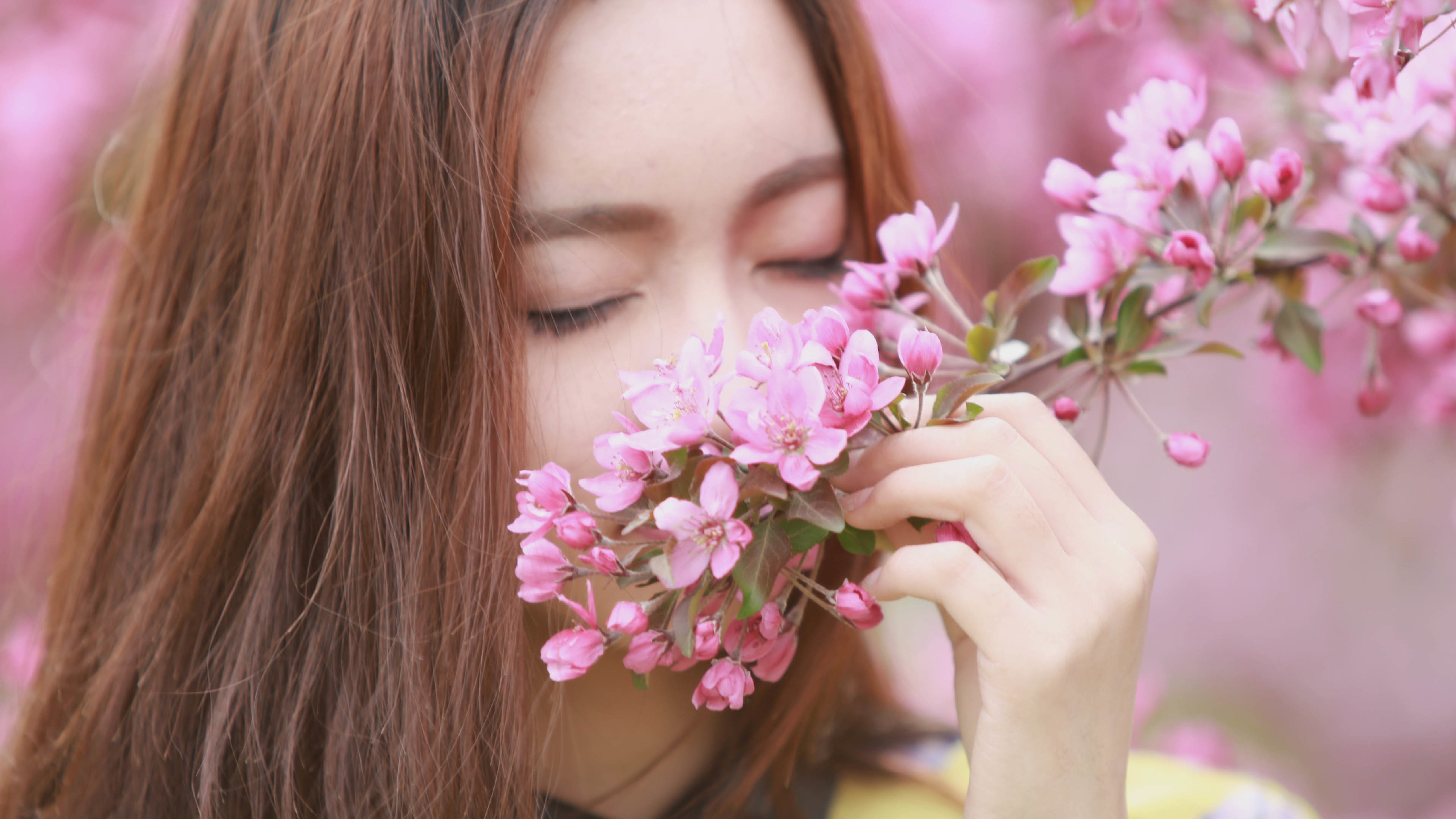 桃花朵朵,4K专区