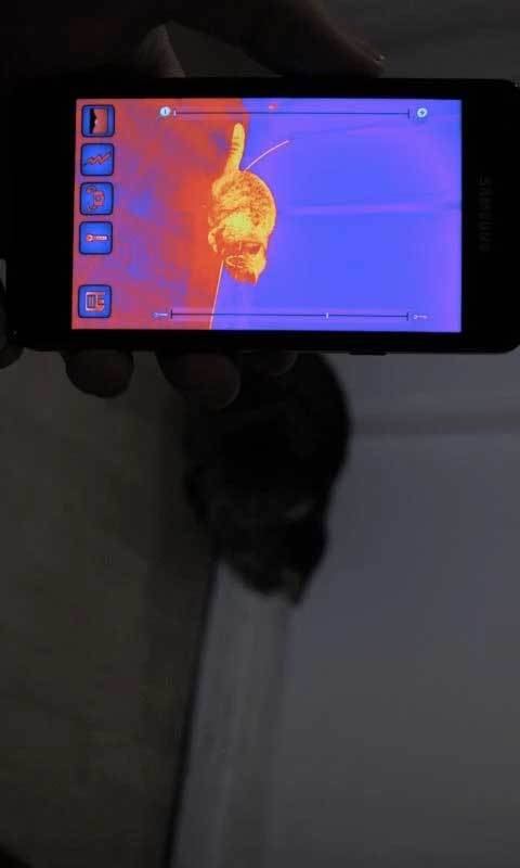 红外热成像相机截图2