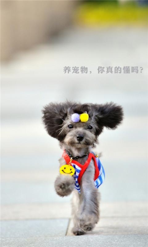 养宠物百科官网免费下载_养宠物百科攻略,360