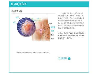 怎么样快速怀孕