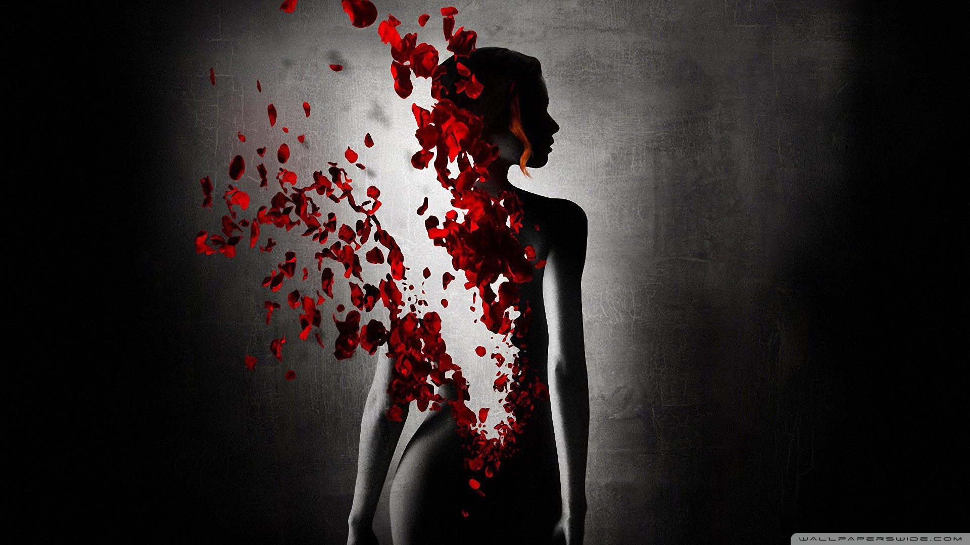 电脑桌面个性壁纸高清